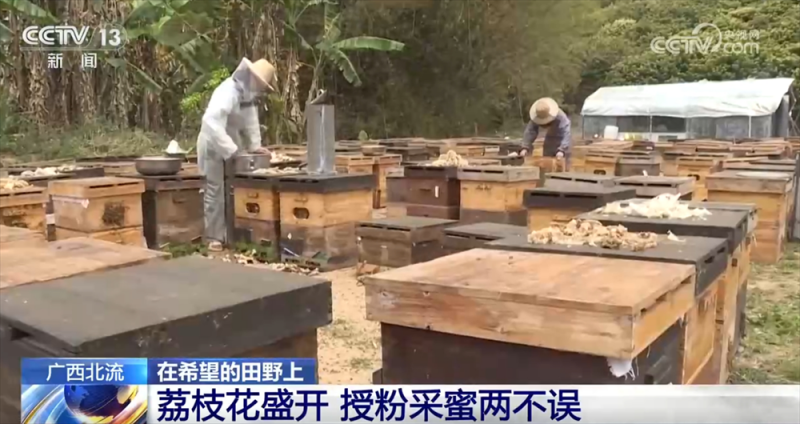 智能设备描绘出一幅幅“数字春耕图” 希望的田野迸发勃勃生机