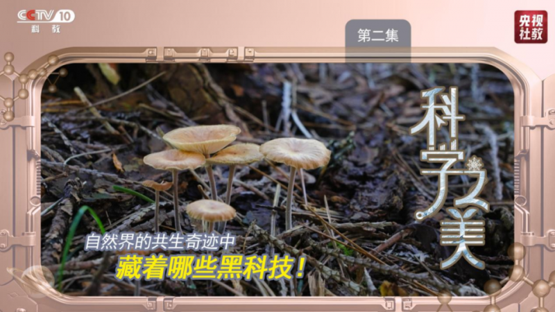 这部科学大片，每一帧都是壁纸！