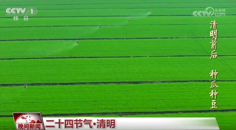 “梨花风起正清明” 神州大地春和景明 恰是一年春好处