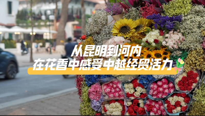 从昆明到河内 在花香中感受中越经贸活力