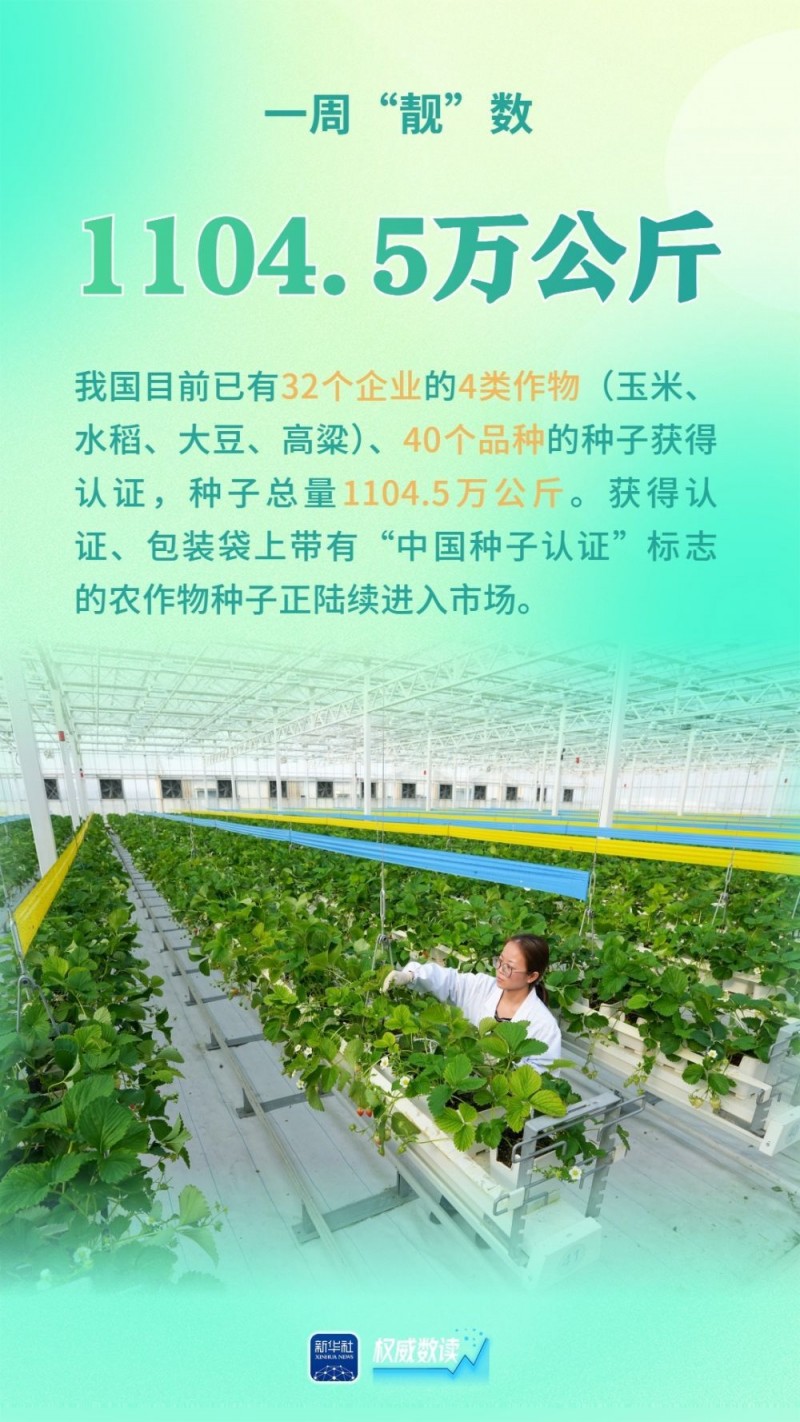 权威数读｜一周“靓”数