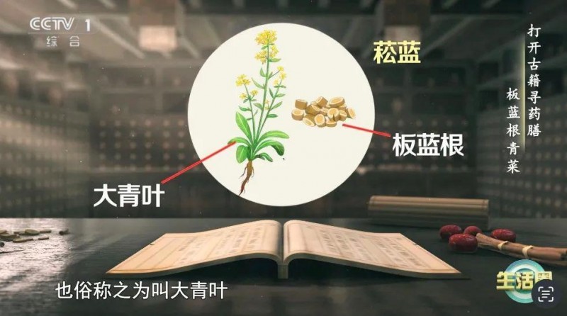 这种蔬菜钙含量比牛奶还高！春天推荐你多吃，补钙、抗病毒、降火～