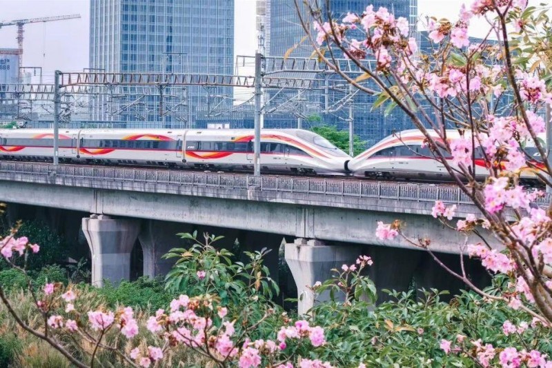 创历史同期新高  一季度全国铁路发送旅客超10亿人次