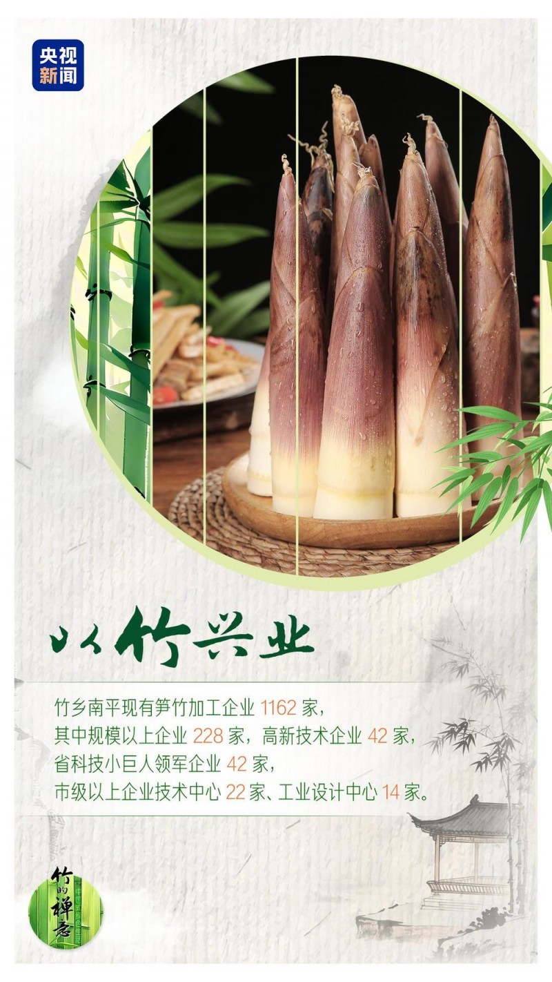 何以中国｜从竹子“七十二变”看竹乡绿色变迁