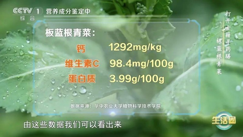 这种蔬菜钙含量比牛奶还高！春天推荐你多吃，补钙、抗病毒、降火～