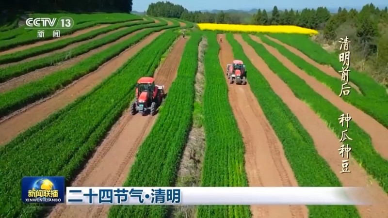 文化中国行丨二十四节气・清明 梨花风起正清明