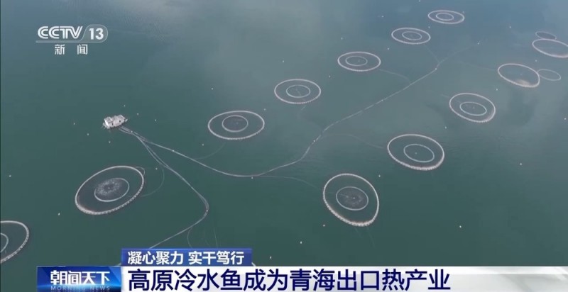 凝心聚力 实干笃行丨青海外贸缘何实现增速全国第一