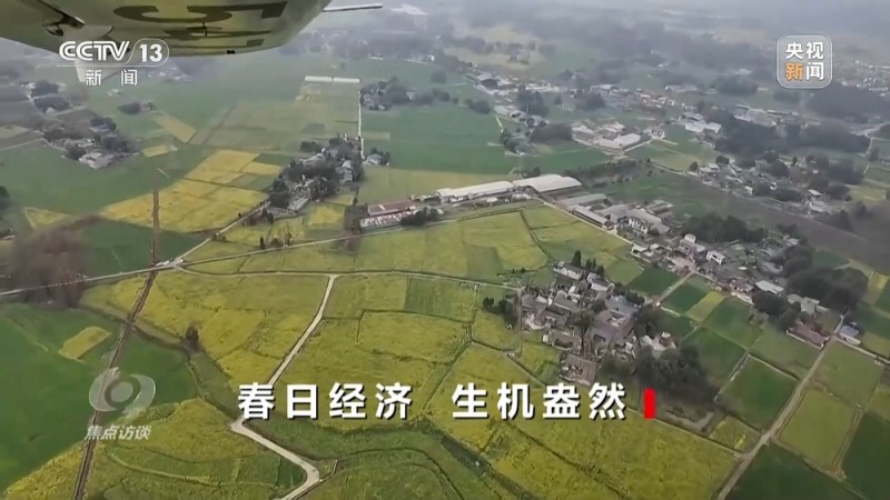 焦点访谈丨创新多元化消费场景 助力“春日经济”焕发新活力