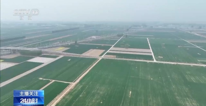 春意浓，农事兴 多地春耕春播有序进行中