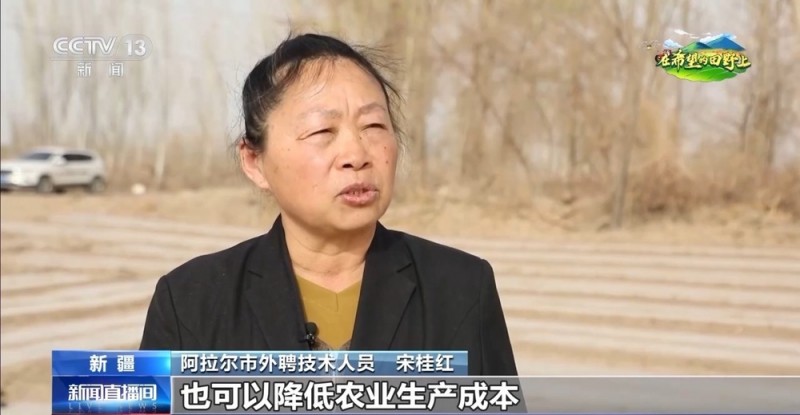 棉花套种孜然、智能化播种……各地春播有序推进