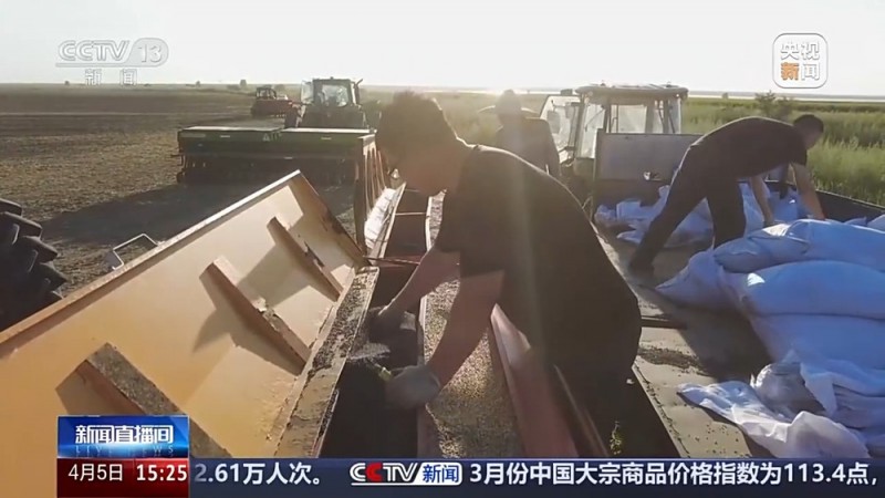 文化中国行丨播种“冰麦”、“龙王”巡游、智能养蚕 他们这样过清明→