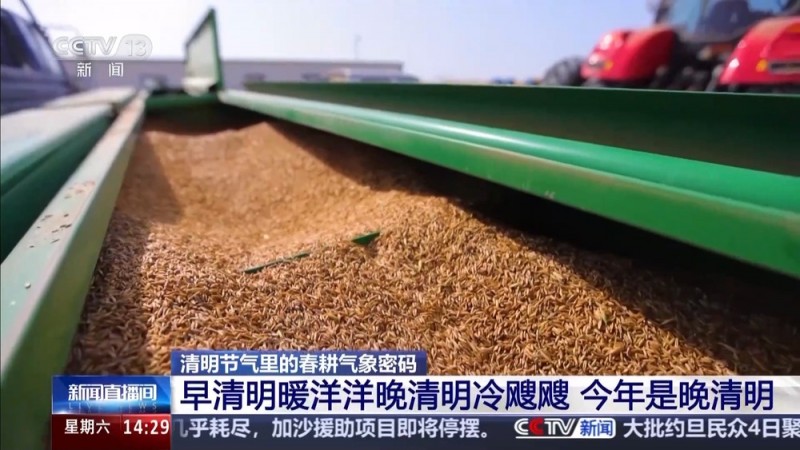 清明也分“早晚前后” 揭秘藏在节气里的农事密码
