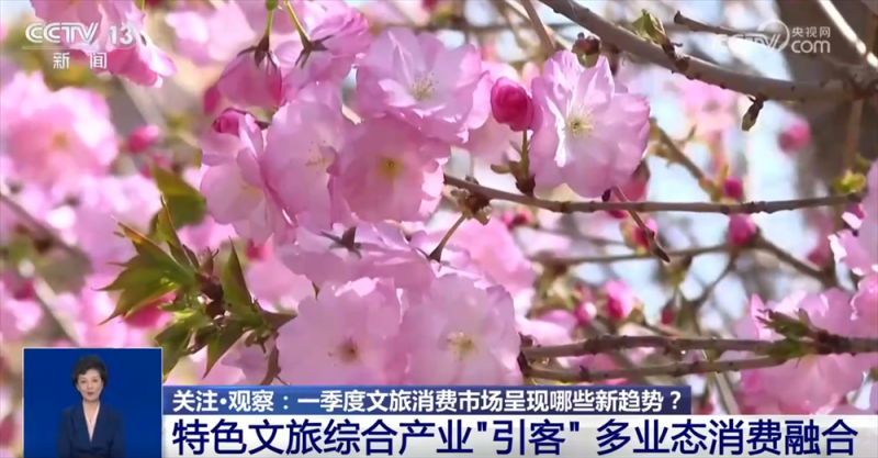 加速向“新”点燃新引擎  一季度文旅消费市场交出亮眼“成绩单”