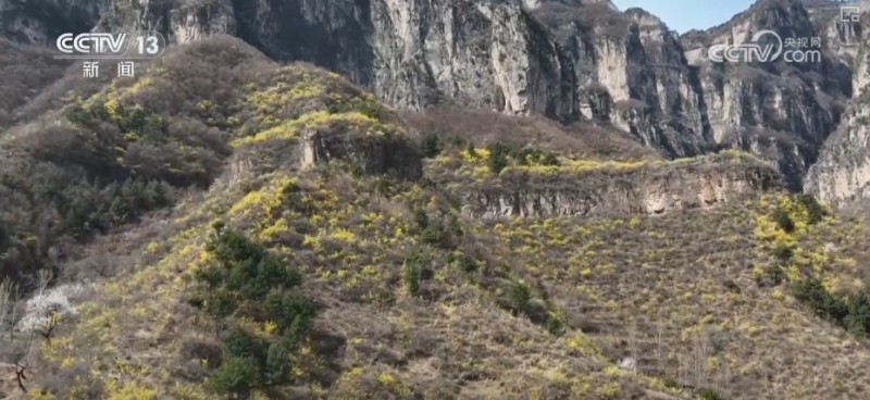 听音乐、赏美景、品美食……“颜值”变“产值”激活乡村春日消费新场景