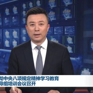 聚焦四个突出问题！党中央决定，派出8个中央指导组