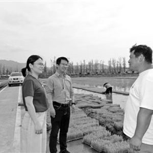 高质量发展践悟 | 推动夯实粮食安全根基
