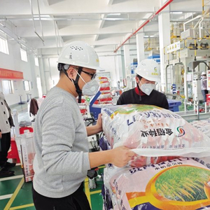 中国中化全力护航春耕生产