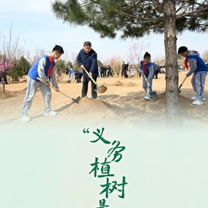 学习新语｜“义务植树是全民行动”