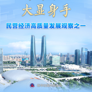 习近平总书记关切事｜创新有道，大显身手——民营经济高质量发展观察之一