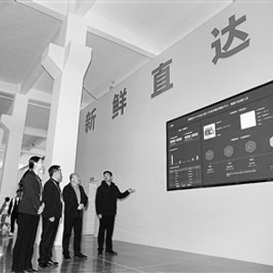 因地制宜 精准施策