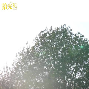 拾光纪·种一棵树最好的时间是十年前，更是现在