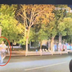 景德镇一家三口被撞身亡，肇事者两次猛踩油门