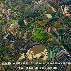 《三餐四季》云南篇：寻味山野，感受不一样的“彩云之南”