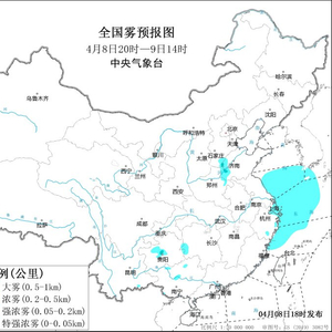大雾黄色预警：山东、河北局地有能见度不足500米的浓雾
