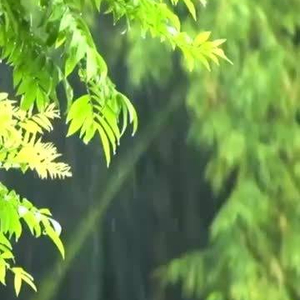家国永念｜致敬“闪亮的坐标”