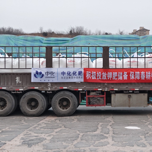中国中化全力确保钾肥量足价稳 为春耕生产保驾护航