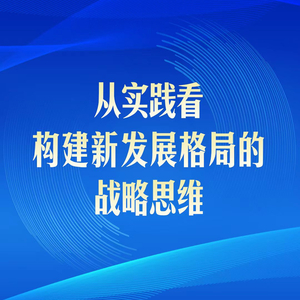 第一观察 | 从实践看构建新发展格局的战略思维