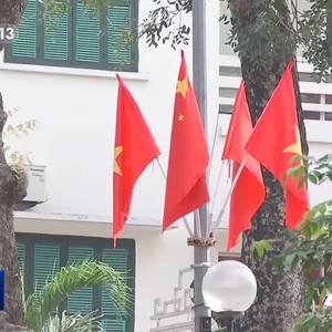 习近平同越共中央总书记苏林、越南国家主席梁强共同会见中越人民大联欢活动代表
