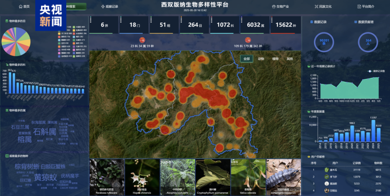 9万余条物种记录向全球开放  中国首个热带生物多样性数字平台发布
