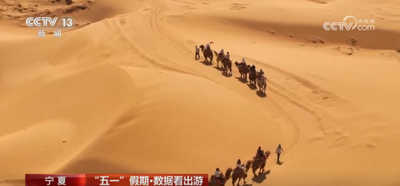 数据看出游 | 透过数据看“五一”假期文旅市场热力十足