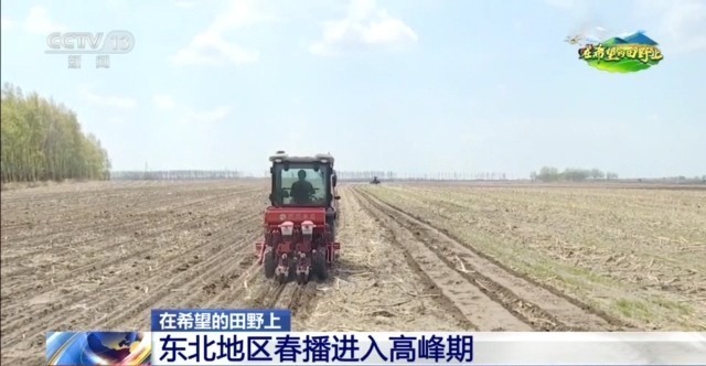 在希望的田野上丨东北春播进度近三成 一键查看各地农业生产进度条→