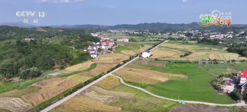 科技助力“三夏”开启“加速度” 广袤田野唱响丰收赞歌
