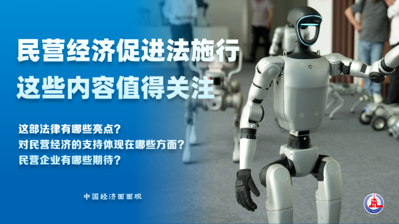 中国经济面面观｜民营经济促进法施行，这些内容值得关注