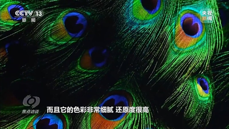 焦点访谈丨致敬科技工作者 以坚守创新托举强国未来