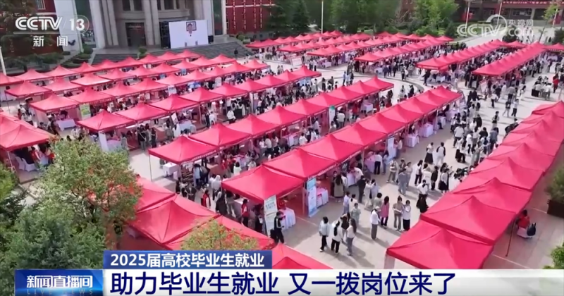 @高校毕业生，“稳就业+促就业”新岗位、新机遇、新支持来了！