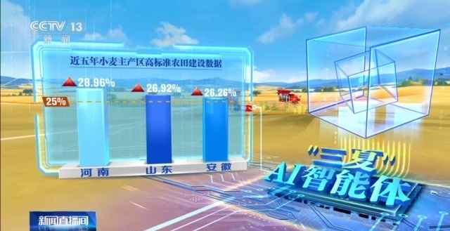 全国麦收进度已超两成 大马力农机+高标准农田跑出夏收新速度