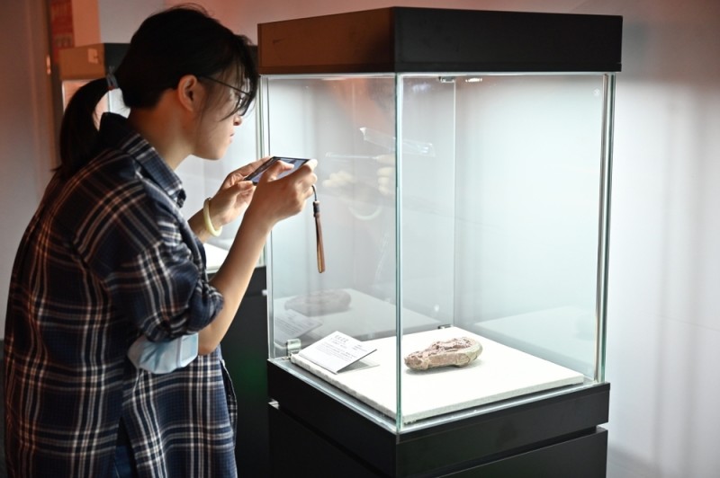 中国恐龙大展今日开幕，全国118件恐龙标本齐聚有何亮点？