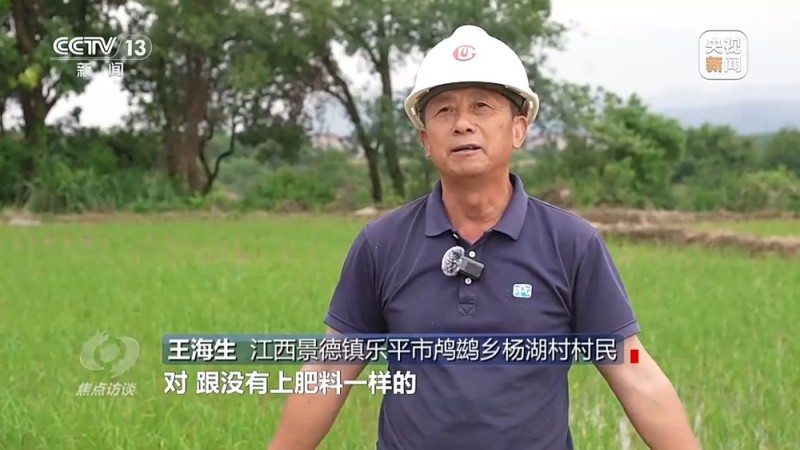 焦点访谈丨售假手段又翻新  警惕化肥“忽悠团”的坑农套路