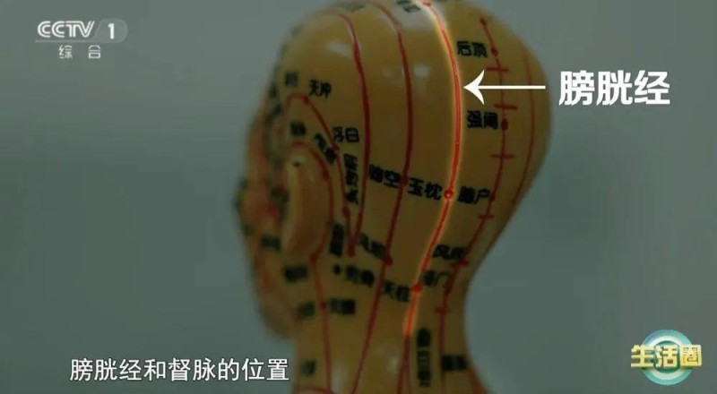 不同位置白发反映不同健康问题 护发与健康小贴士快收藏
