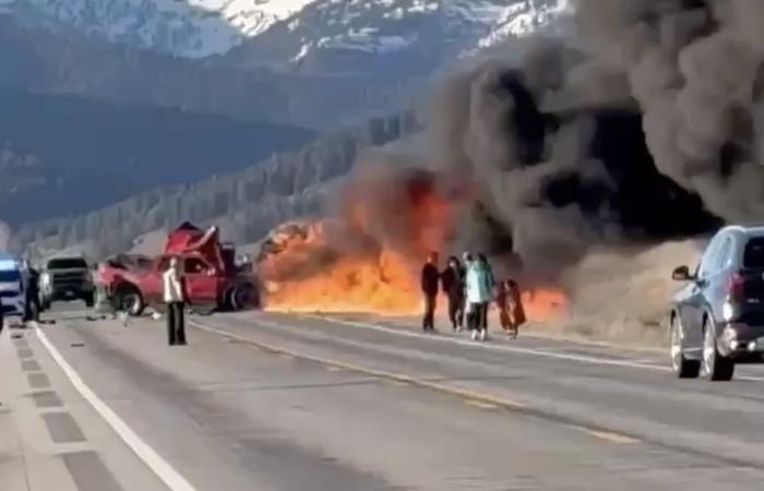 美国黄石国家公园附近发生撞车事故 7人死亡