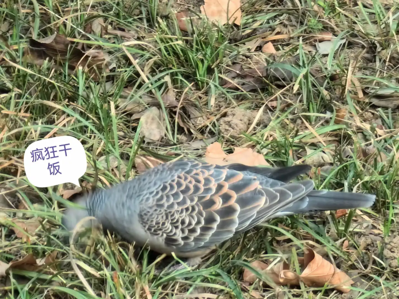 瞎扯 · 你被爸妈打得最惨的那一次,是因为什么?