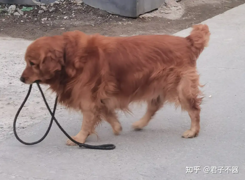 瞎扯 · 你被爸妈打得最惨的那一次,是因为什么?
