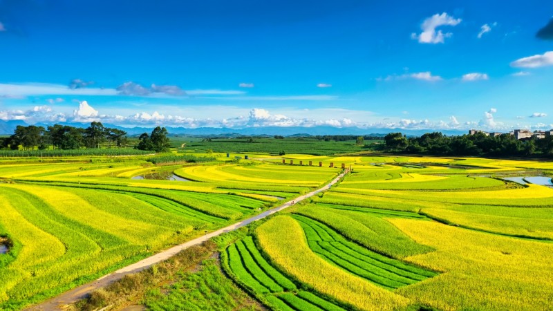 跨越“山海”  共绘绿色和美乡村