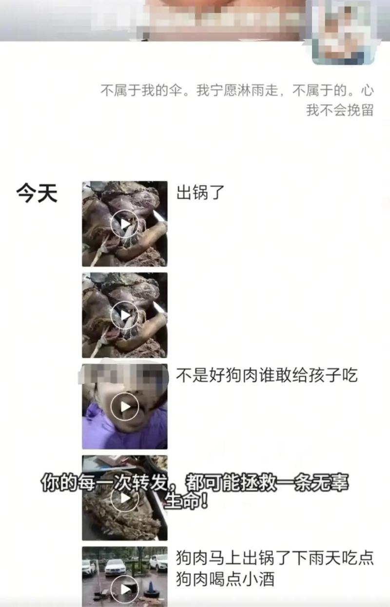 7点出发丨假借领养人名义烹食流浪狗？警方：此事属实