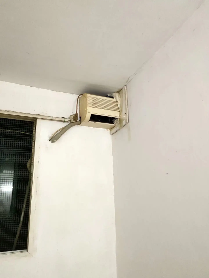瞎扯 · 是大部分动物都喜欢被摸头吗?