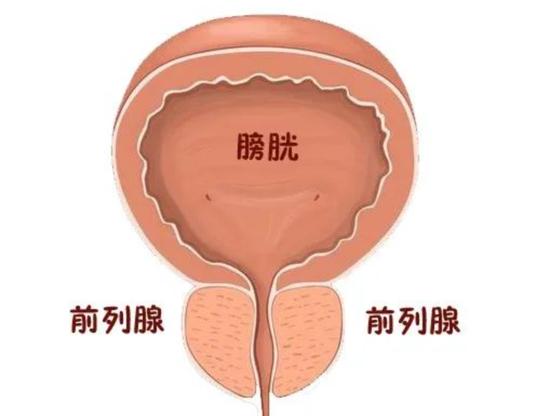 美国前总统拜登确诊前列腺癌,这个病可能由哪些原因导致的?普通人如何防范?